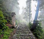 Structured Training, Scenic Trail
